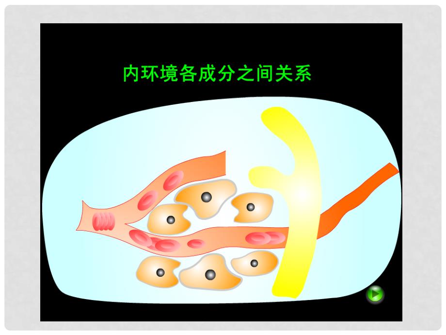 生物：1.2《内环境稳态的重要性》课件（新人教版必修3）（7）_第2页