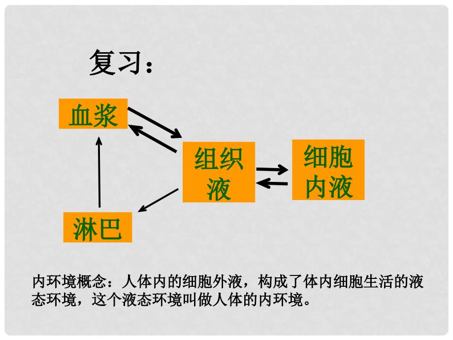 生物：1.2《内环境稳态的重要性》课件（新人教版必修3）（7）_第3页