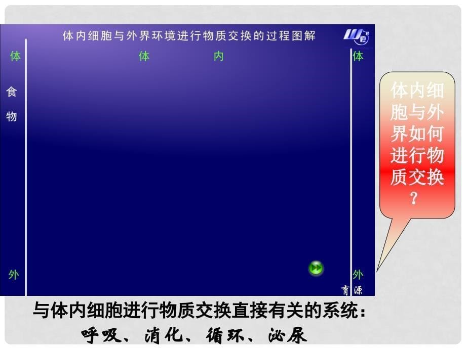 生物：1.2《内环境稳态的重要性》课件（新人教版必修3）（7）_第5页