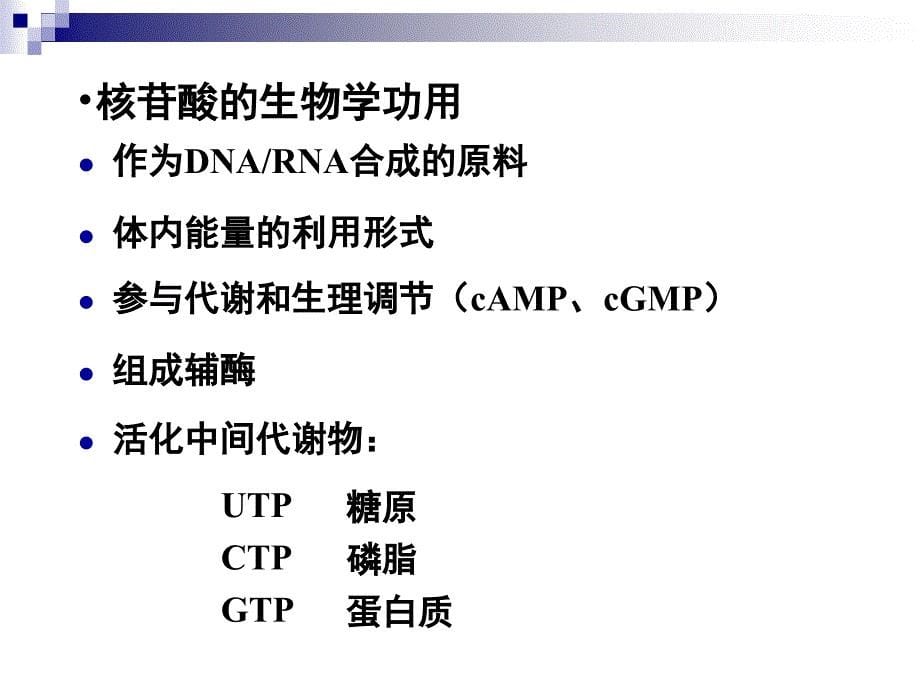 生物化学课件：第08章核苷酸_第5页