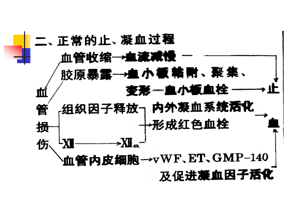 医学教学课件：出血性疾病_第3页