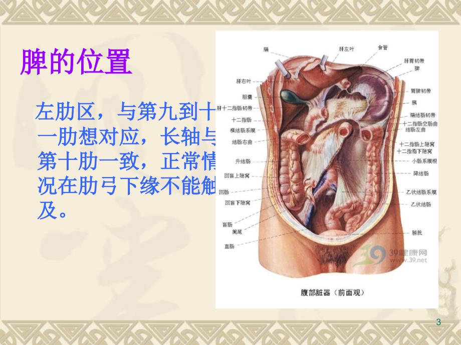 （优质课件）脾破裂的护理查房幻灯片_第3页