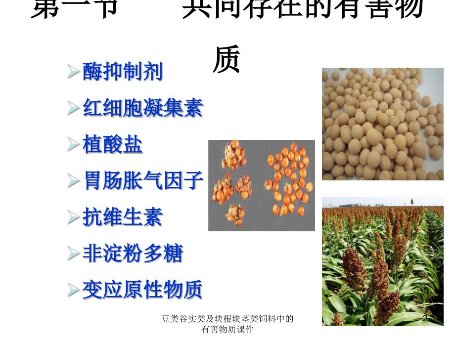 豆类谷实类及块根块茎类饲料中的有害物质课件_第2页