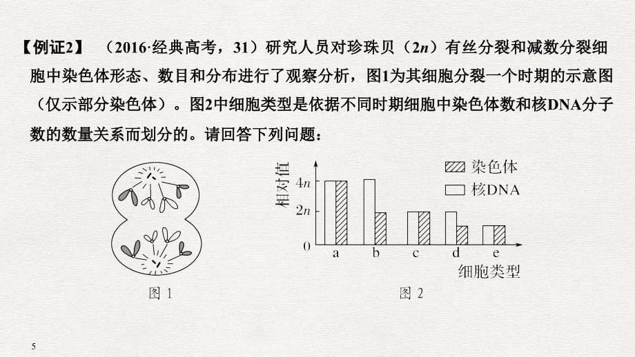 高考生物一轮复习 考点加强课2 减数分裂与有丝分裂的比较及减数分裂与可遗传变异的关系课件_第5页