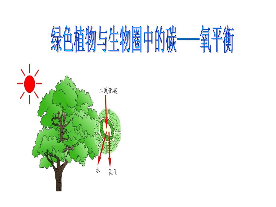 绿色植物与生物圈中的碳——氧平衡_第1页