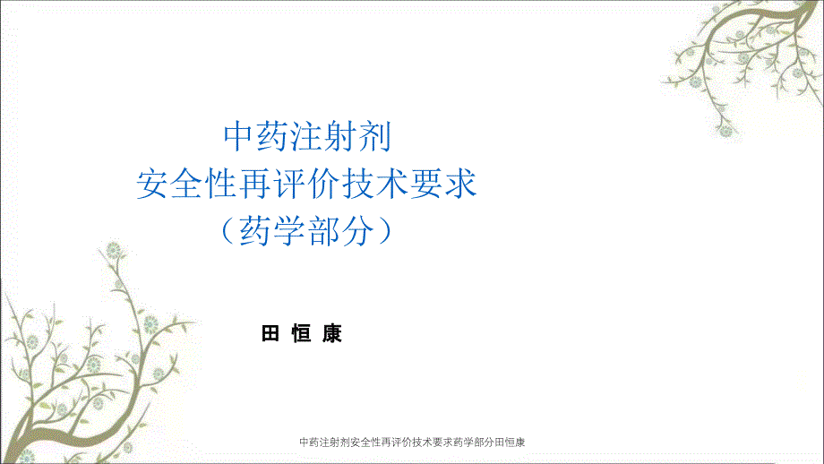 中药注射剂安全性再评价技术要求药学部分田恒康_第1页