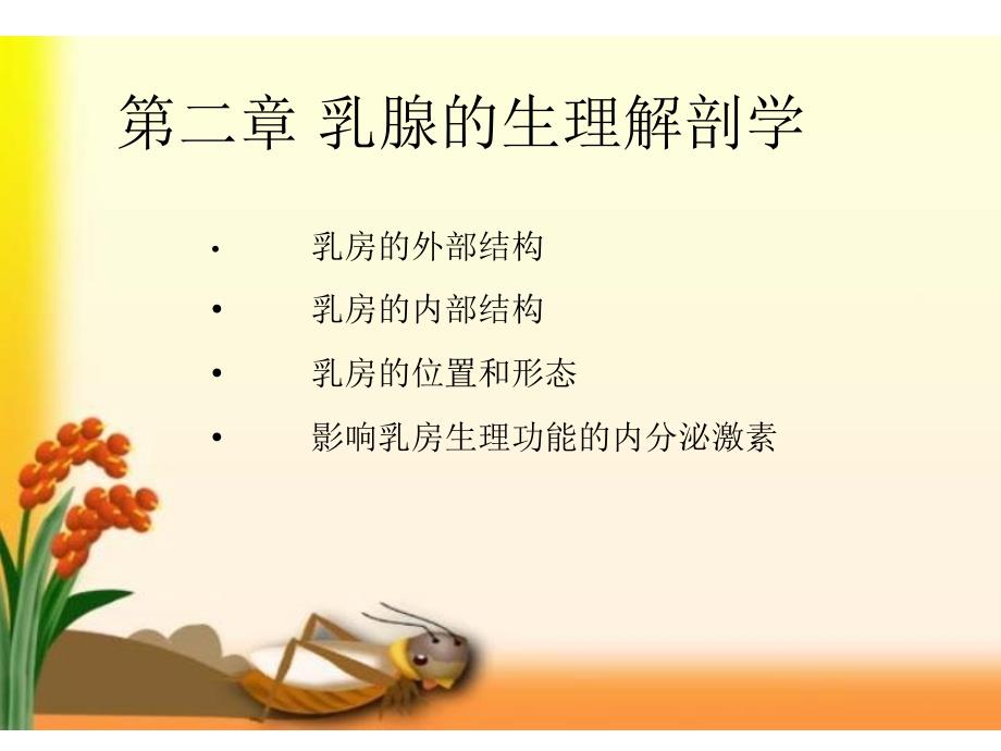 乳腺的生理解剖学.ppt_第1页