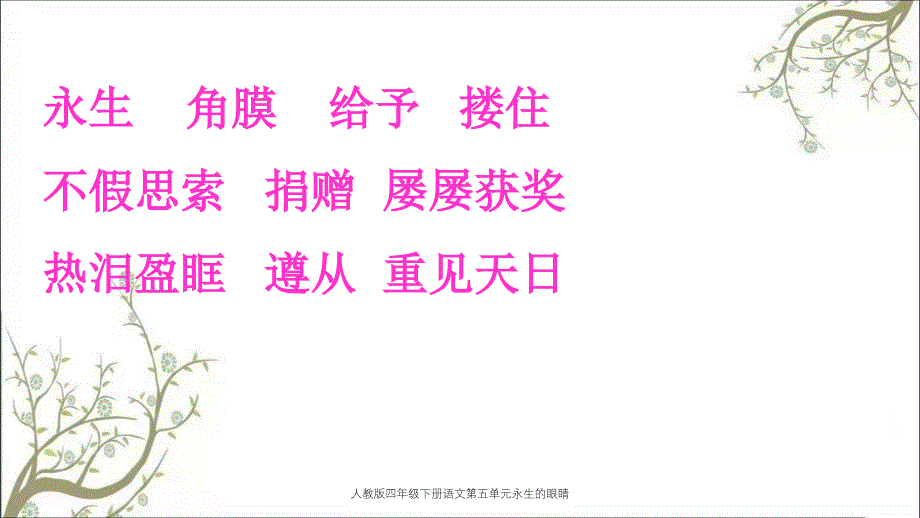 人教版四年级下册语文第五单元永生的眼睛_第2页