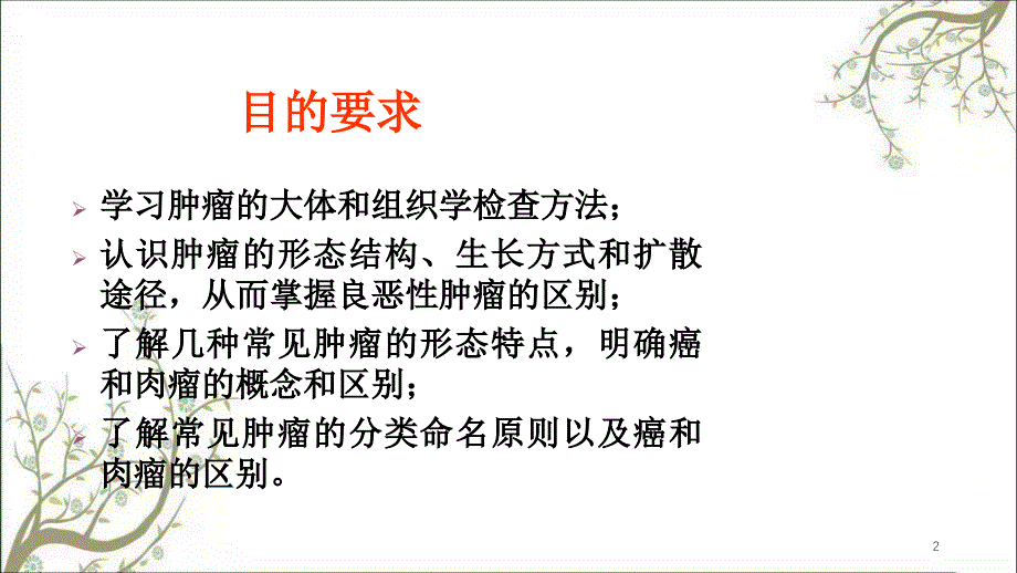 病理学肿瘤2课件_第2页