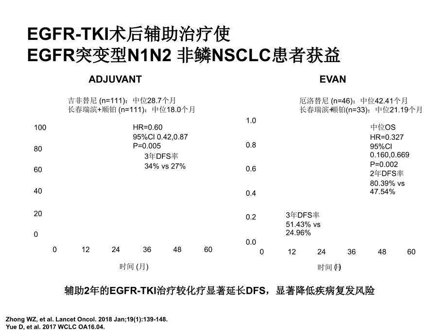 CSCO肺癌指南更新说明ppt课件_第4页