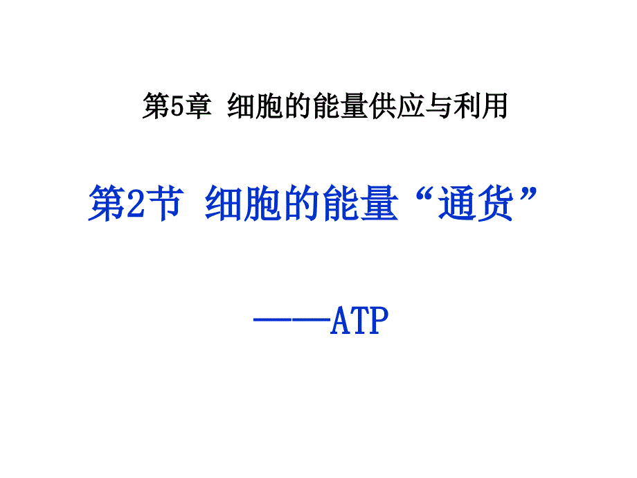 细胞的能量通货-ATP.ppt_第1页