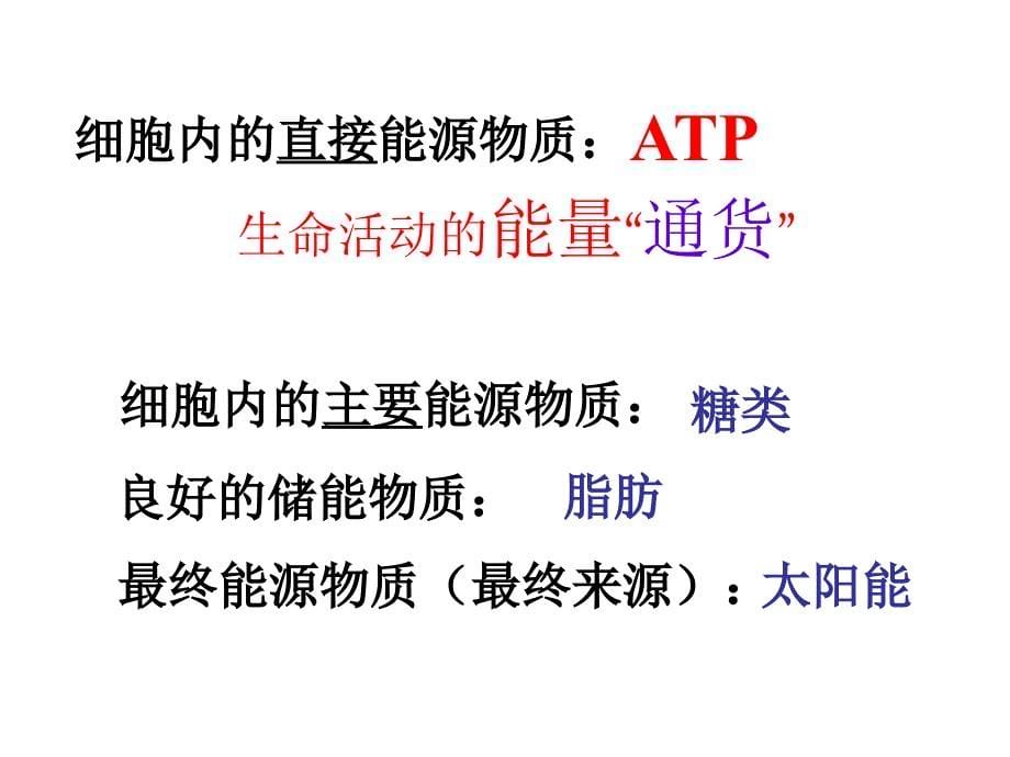 细胞的能量通货-ATP.ppt_第5页