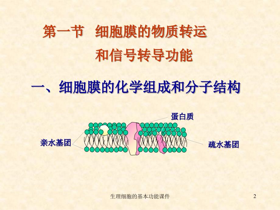 生理细胞的基本功能课件_第2页