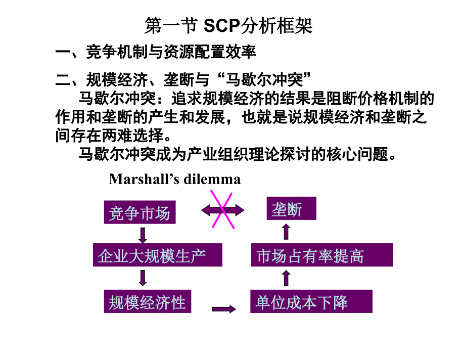 7第七章SCP范式_第3页