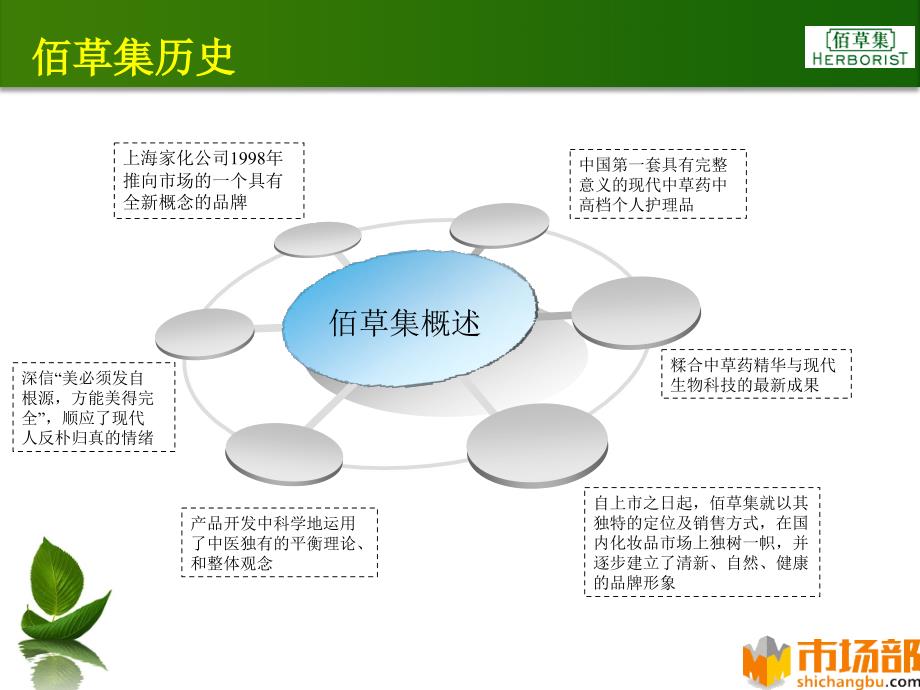 佰草集品牌管理案例报告_第4页