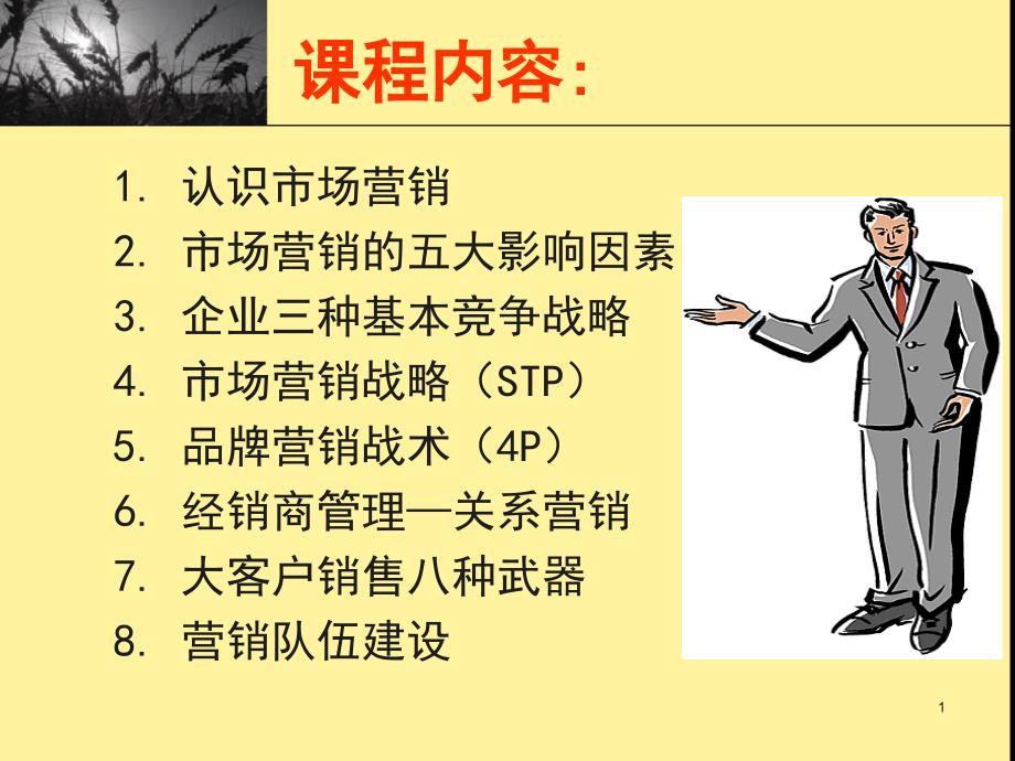 系统营销管理-核心内容.ppt_第2页