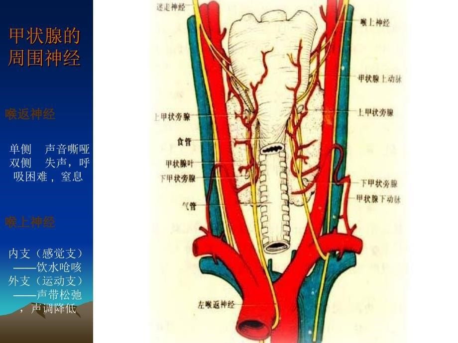 培训资料甲状腺肿护理查房_第5页