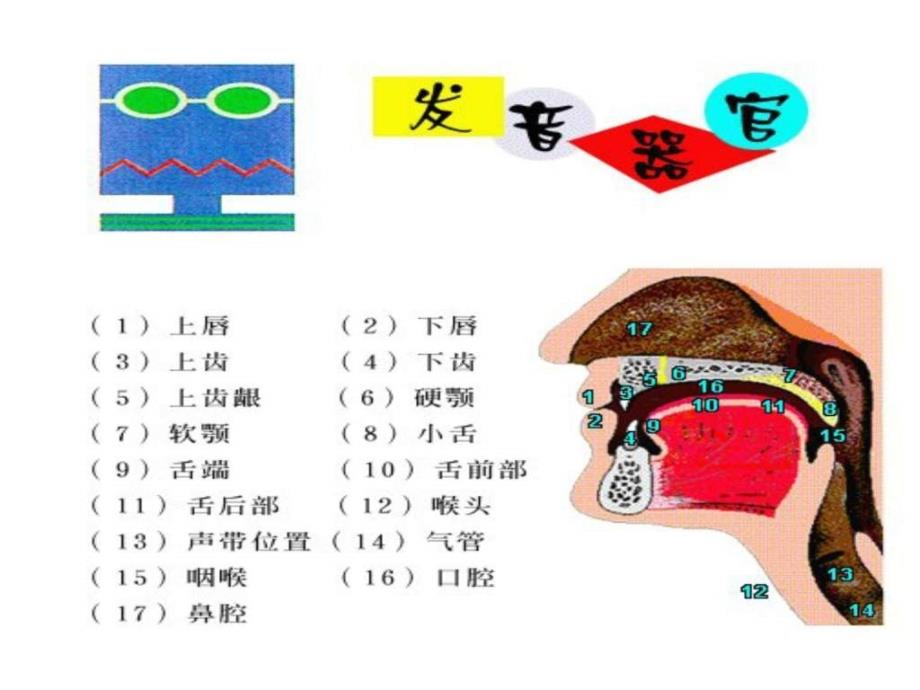 发音教学48个国际音标[1]_第3页