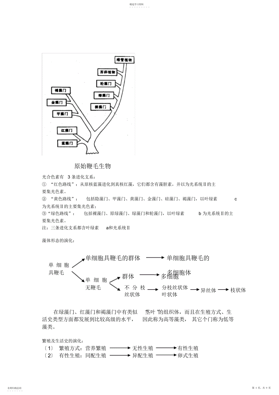 2022年植物学分类学总结_第4页