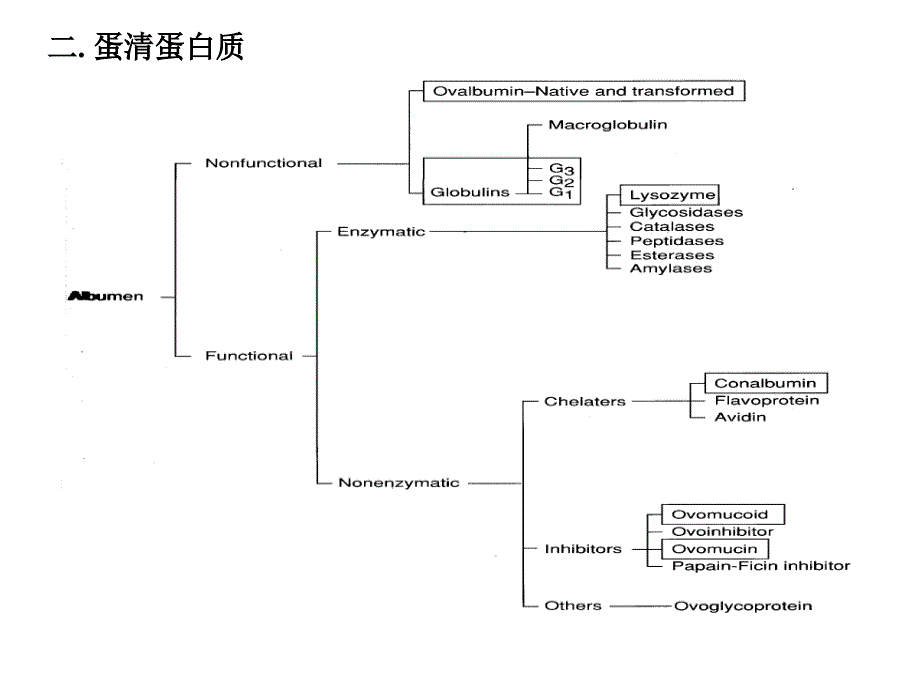 第十二章 动物蛋白_第3页