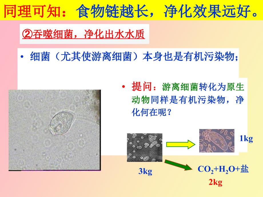 环境工程微生物_第2页