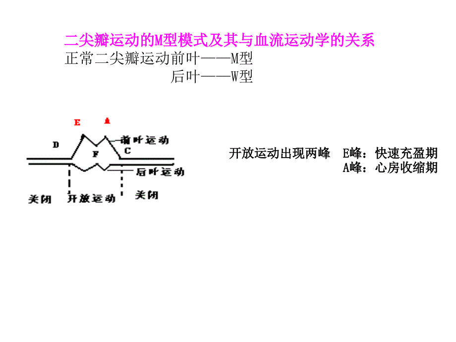 二尖瓣疾病的超声诊断_第3页