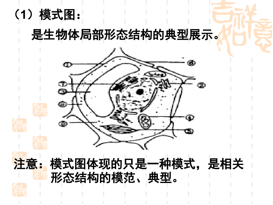 授课人龚远湘_第4页