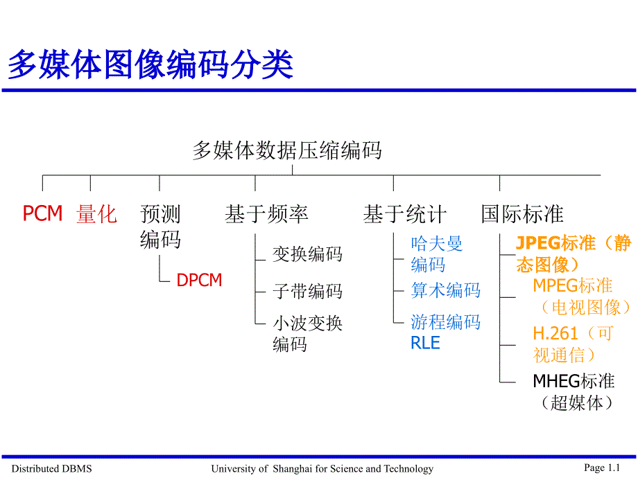 多媒体图像编码分类_第1页