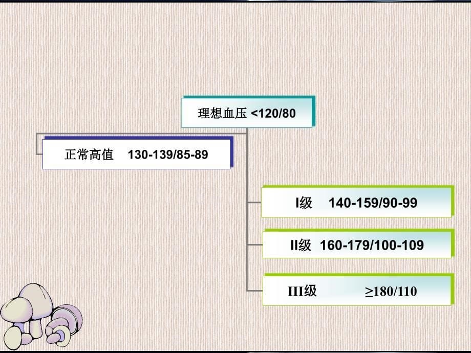 原发性高血压病人的护理_第5页