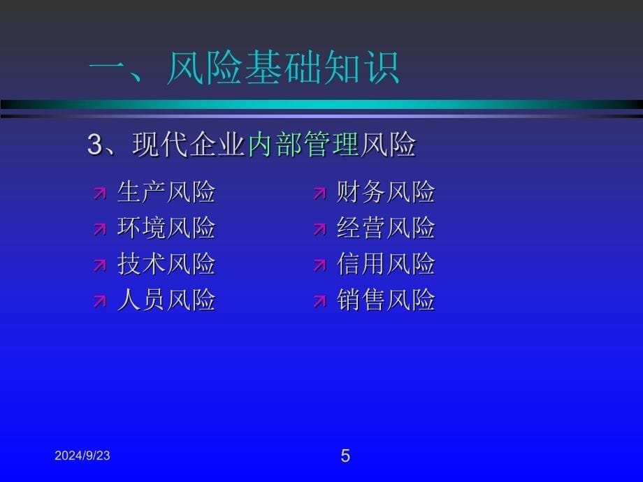 风险管理操作实务_第5页