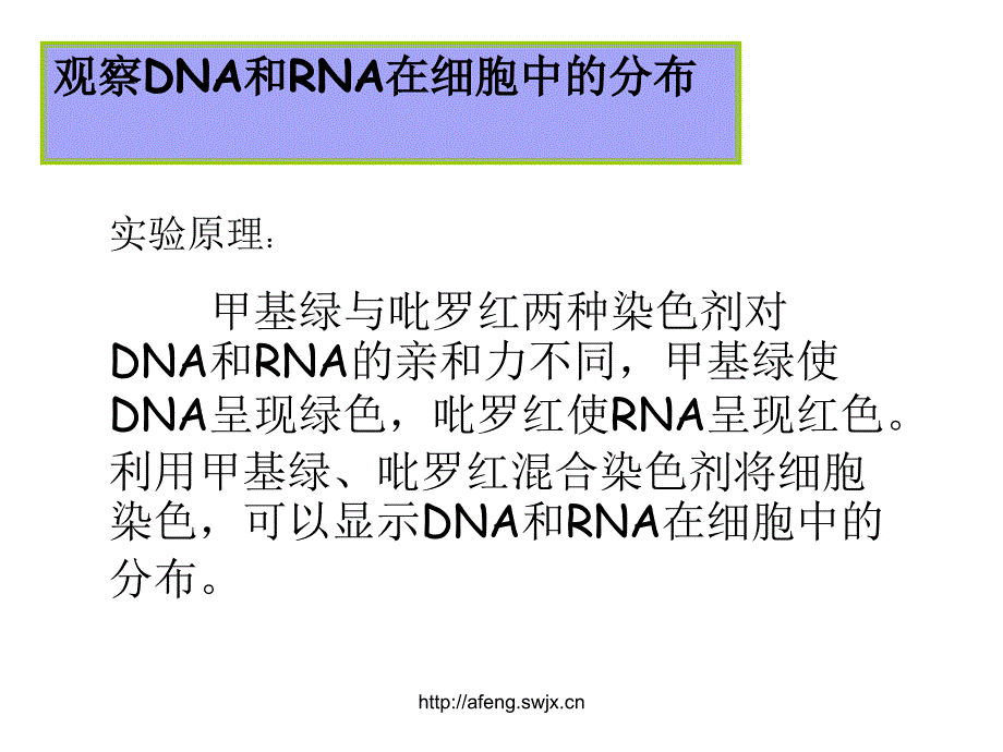 2.3遗传信息的携带者核酸谭霞_第3页