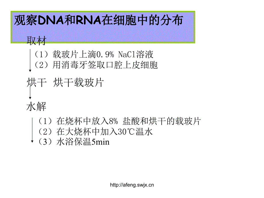 2.3遗传信息的携带者核酸谭霞_第4页