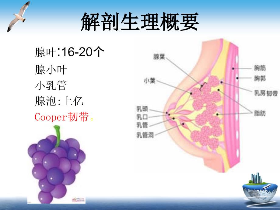 乳腺癌术后预防感染的护理_第3页