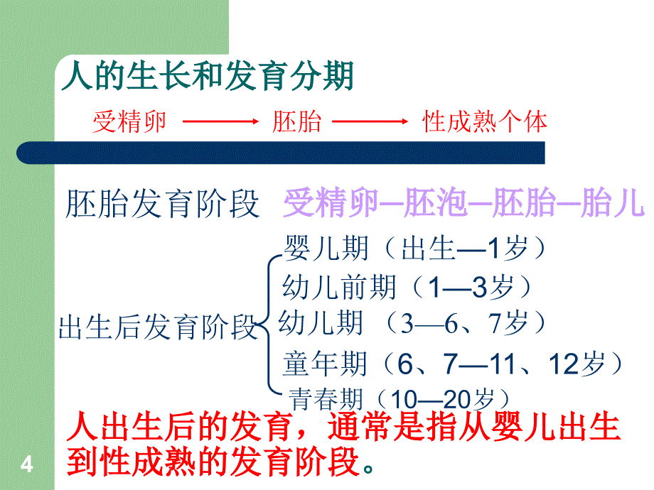 八年级生物上册第三章人的生殖发育课件_第4页