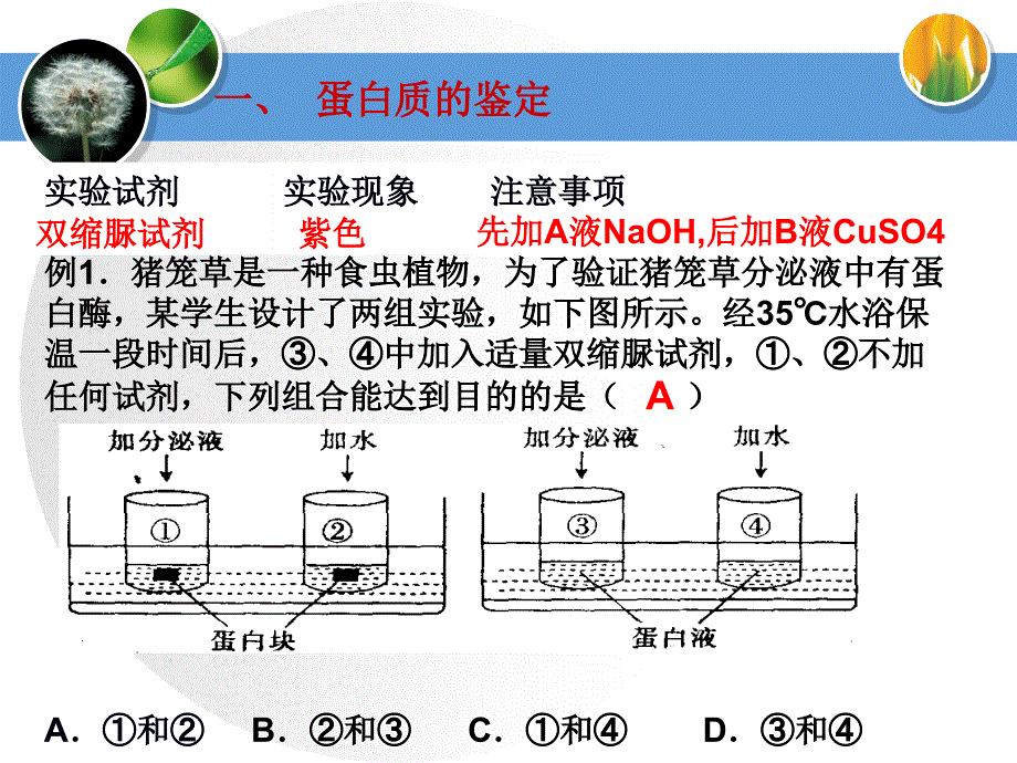 蛋白质专题复习二轮复习_第3页