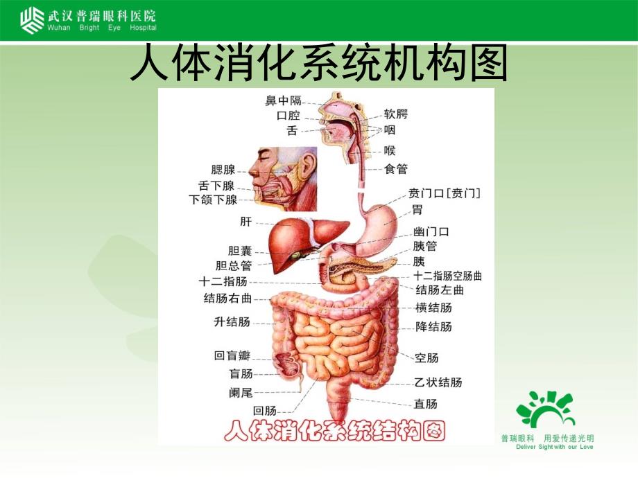 胃肠减压的护理ppt课件_第3页