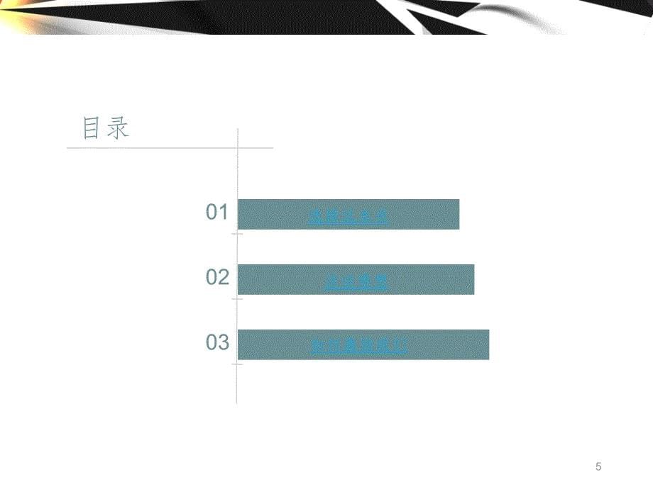 暑假语文作业李颖奇.ppt_第5页