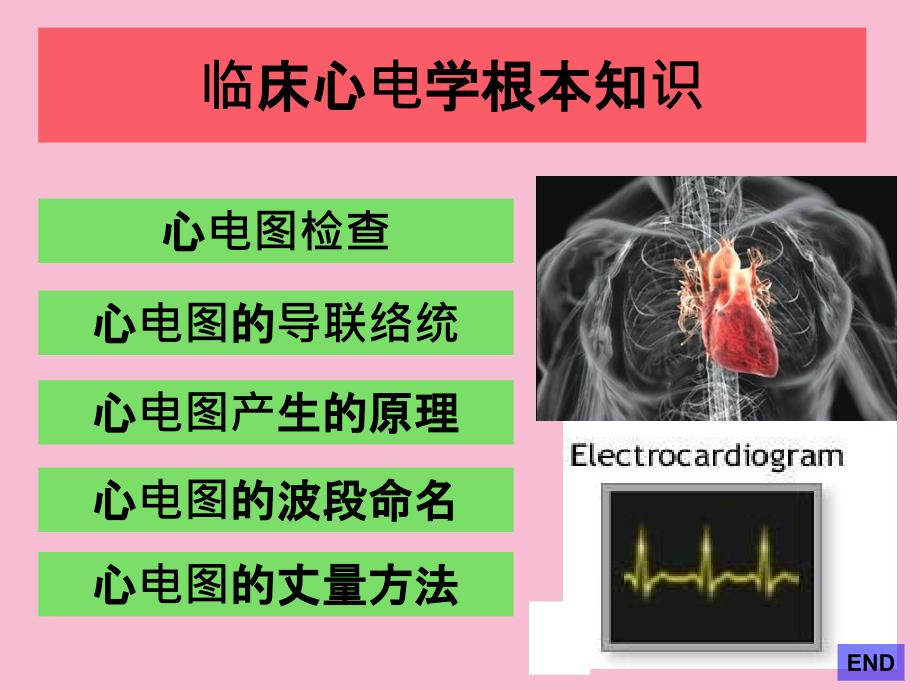 临床心电学基本知识ppt课件_第2页