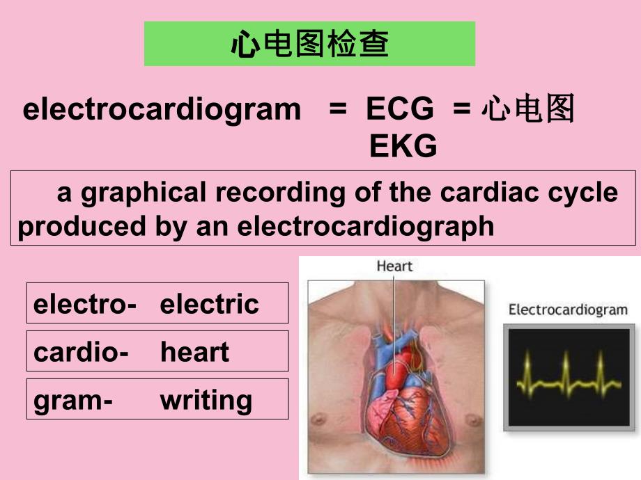 临床心电学基本知识ppt课件_第3页