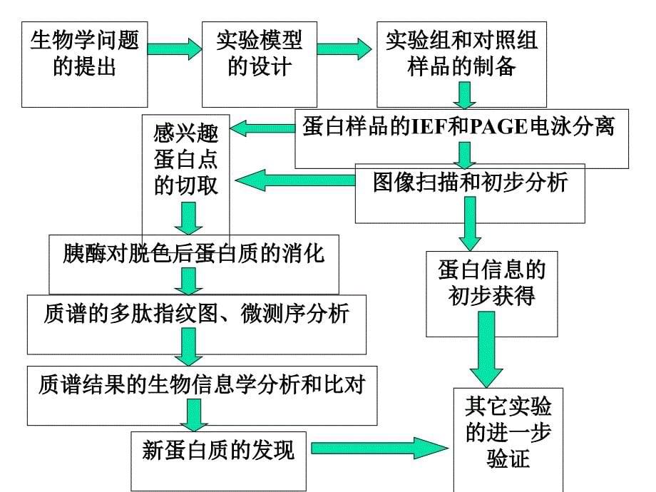 二维电泳技术介绍_第5页