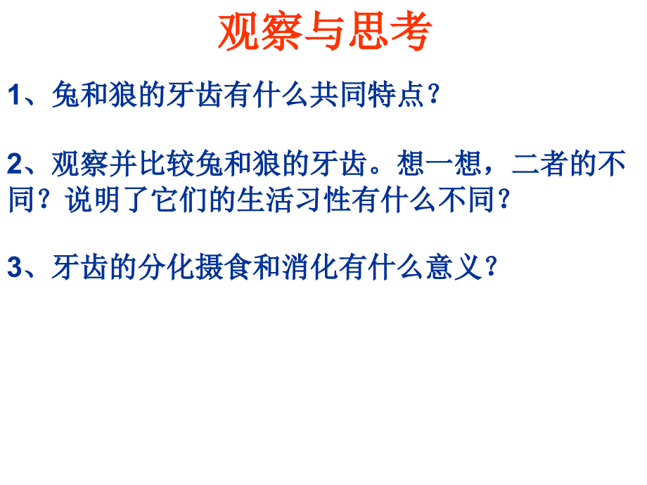 初中二年级生物上册第五单元　第一章动物的主要类群第七节哺乳动物第一课时课件_第3页