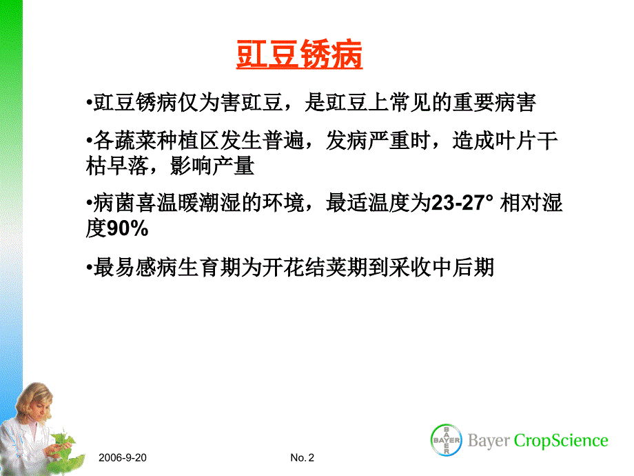 豇豆病虫害防治技术.ppt_第2页