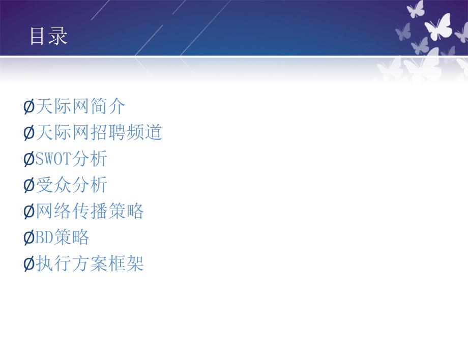 广告策划PPT天际网营销方案_第2页