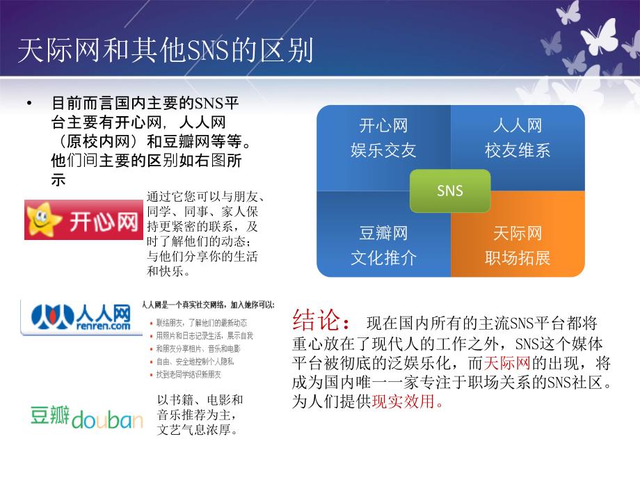 广告策划PPT天际网营销方案_第4页