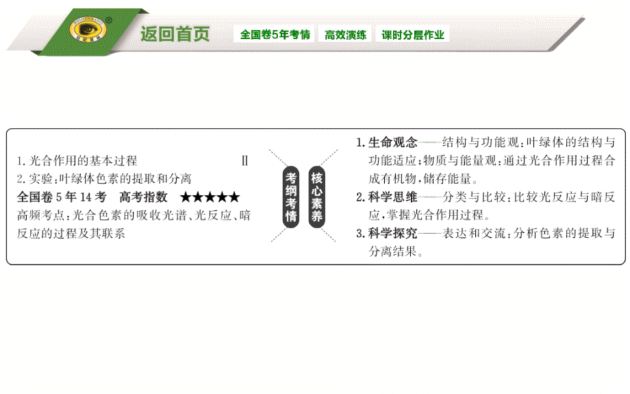 33能量之源光与光合作用一_第2页