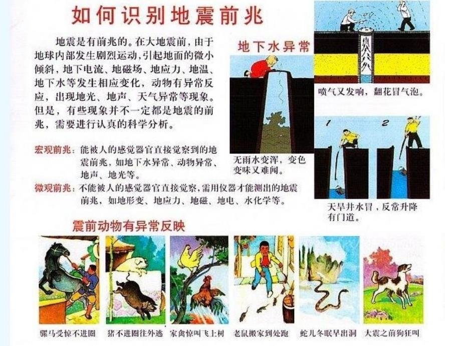 小学生防震安全教育_第4页