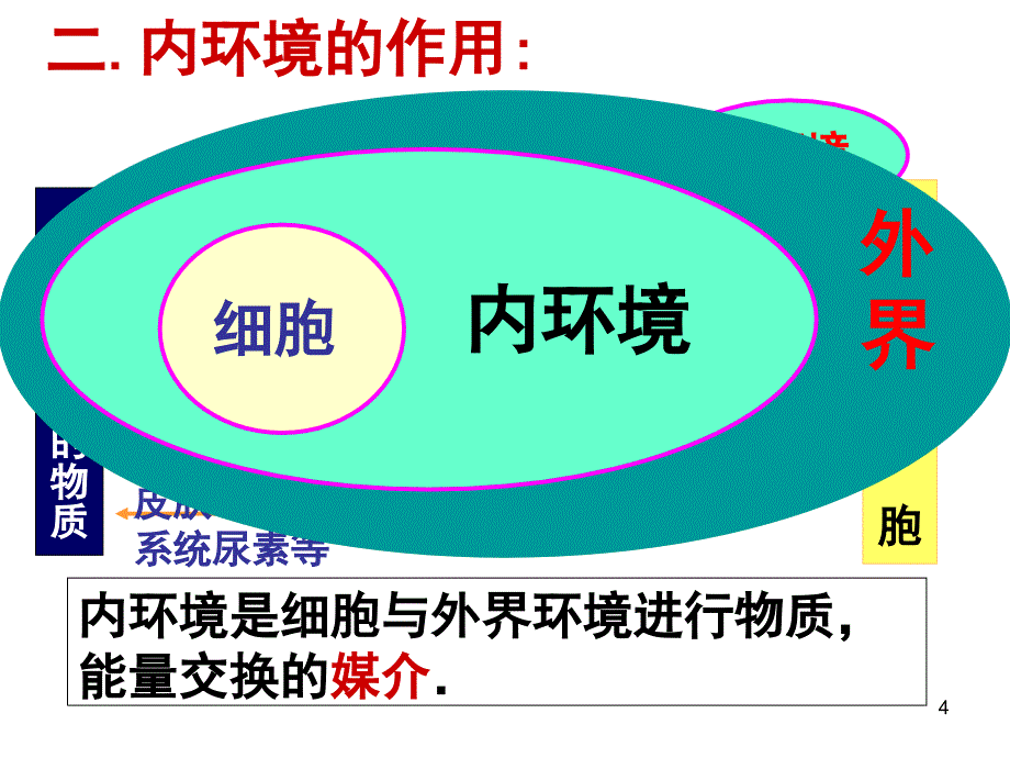 人教版高二生物必修三详细复习知识点.ppt_第4页