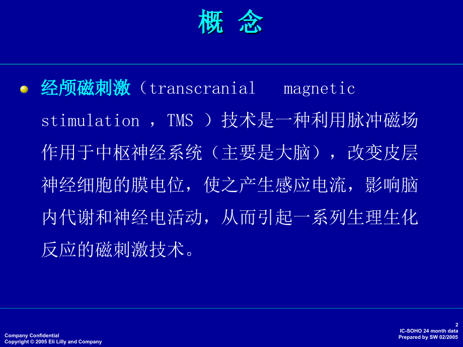 经颅磁刺激PPT演示幻灯片_第2页