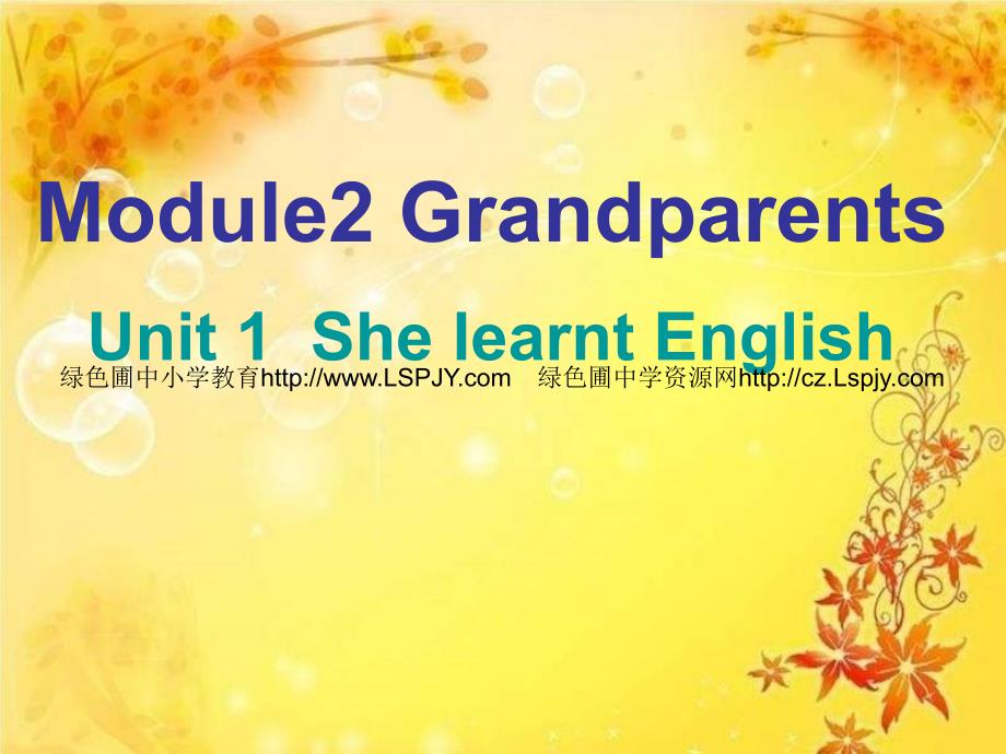 M2Unit 1 She learnt English_第1页