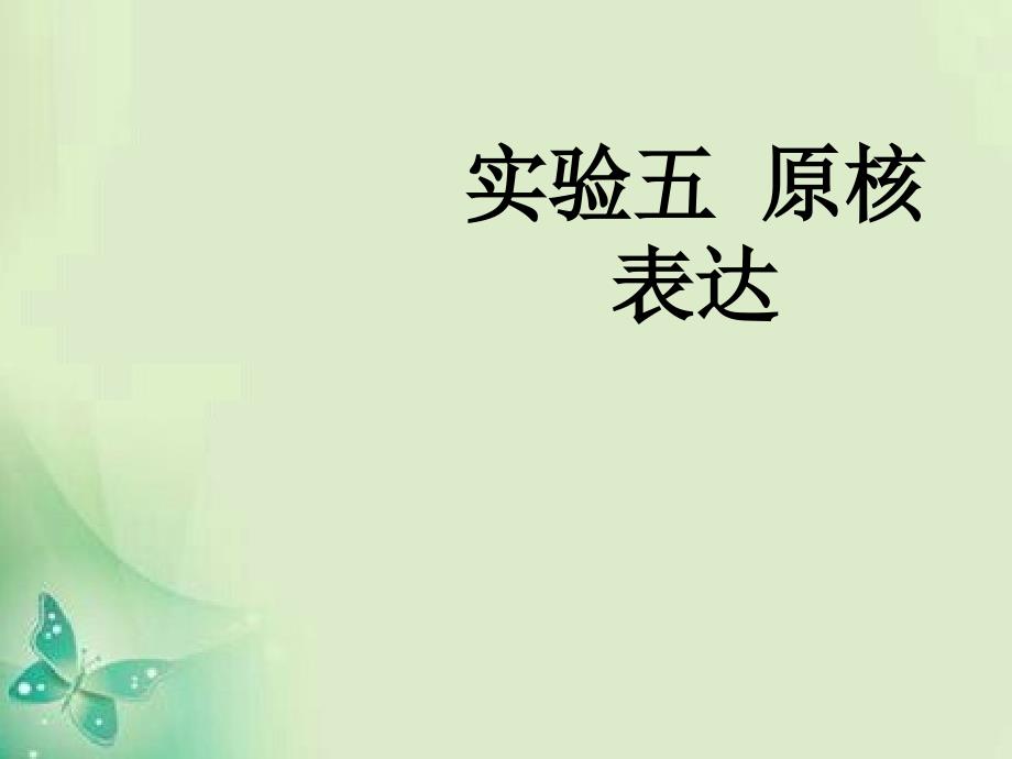 实验五原核表达_第1页